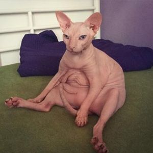 Meet your Posher, Cameron